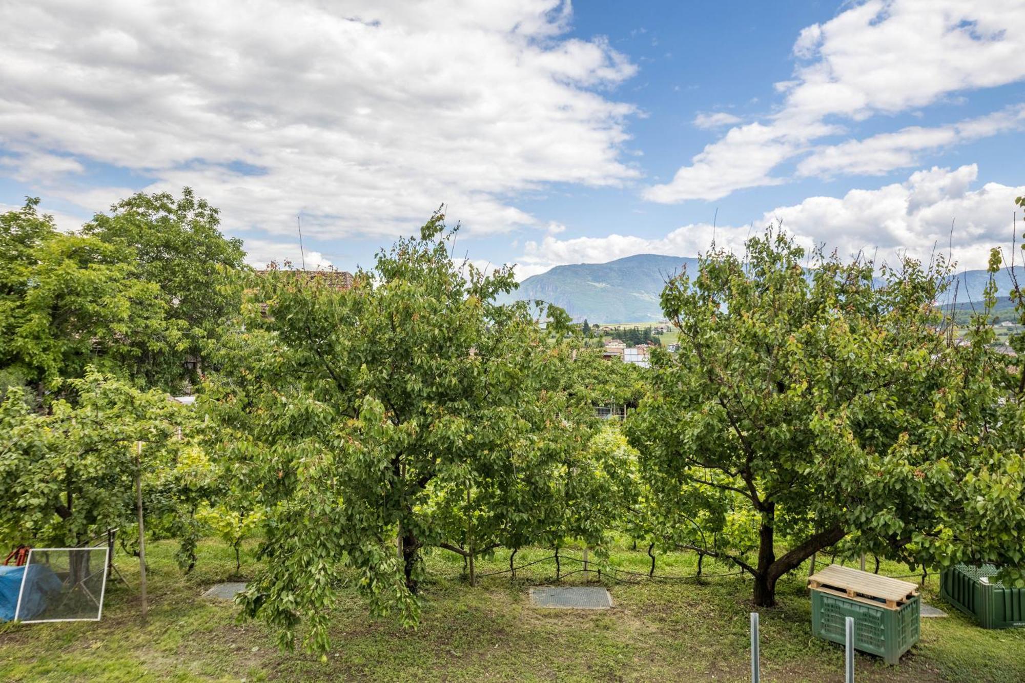 Angerblick Apartment Appiano Sulla Strada Del Vino Bagian luar foto