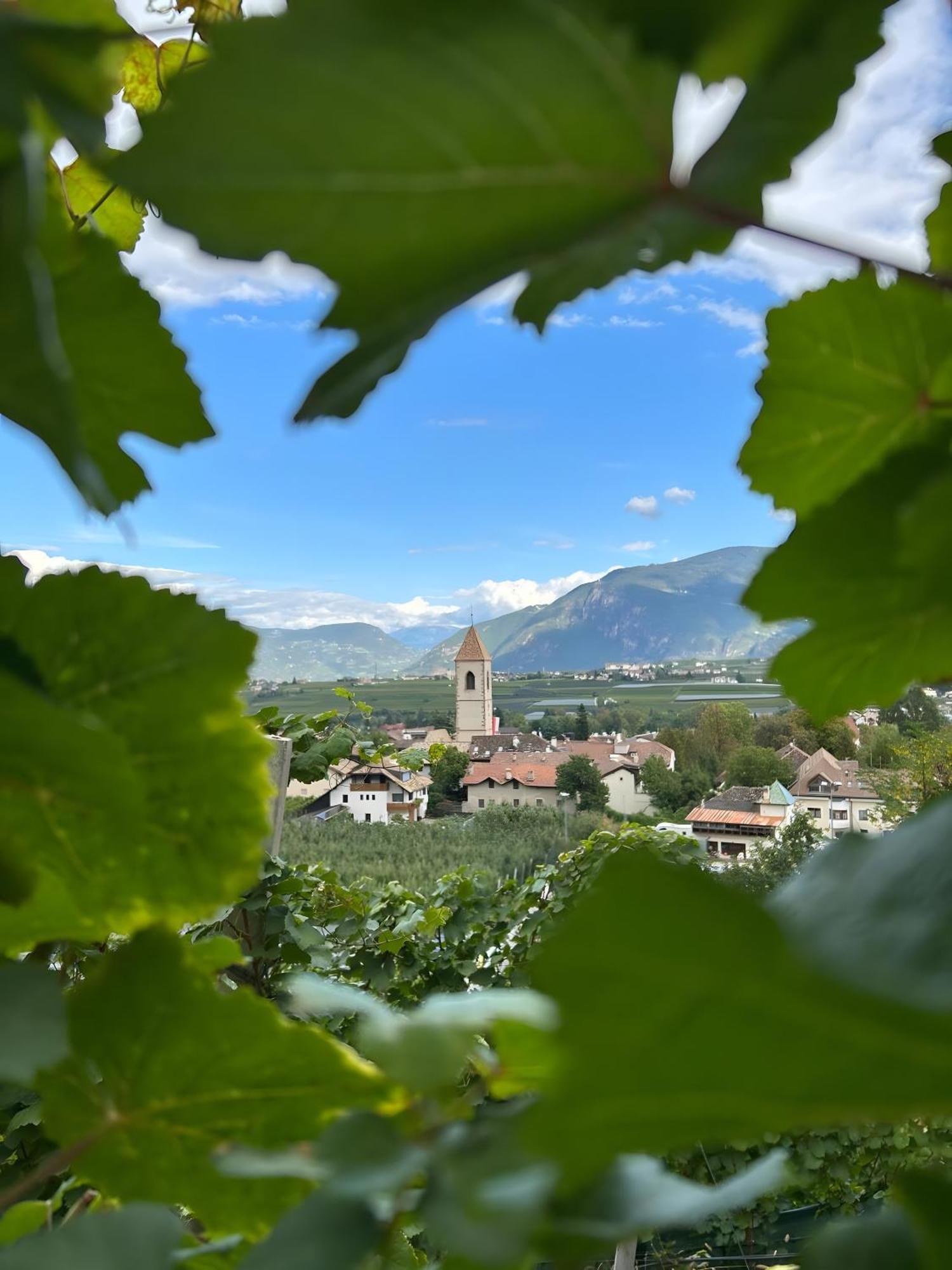 Angerblick Apartment Appiano Sulla Strada Del Vino Bagian luar foto